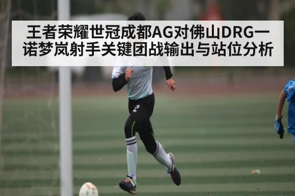 王者荣耀世冠成都AG对佛山DRG一诺梦岚射手关键团战输出与站位分析